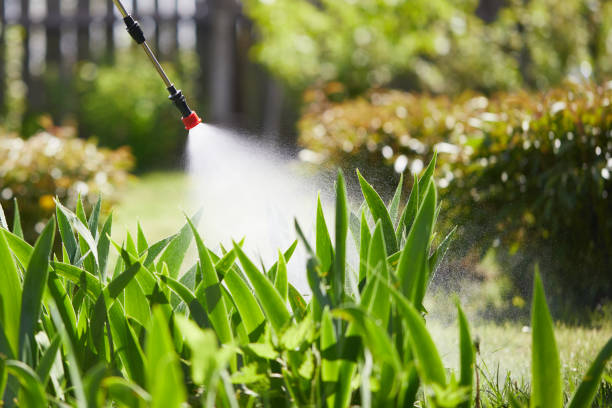 Tamper-Resistant Bait Stations for Rodents in Magalia