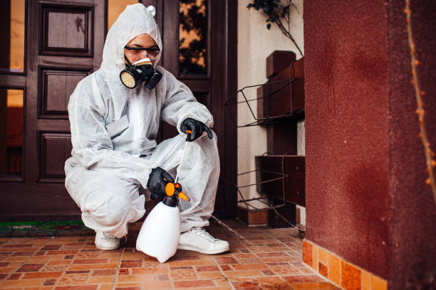 Attic and Crawl Space Rodent Treatment in Magalia
